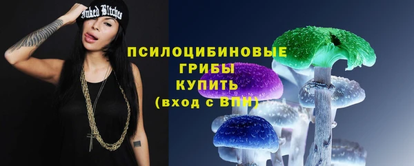 соль курить ск Алзамай